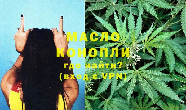 гидра Майский