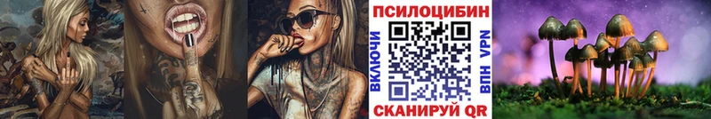 Галлюциногенные грибы Psilocybine cubensis  Мантурово 